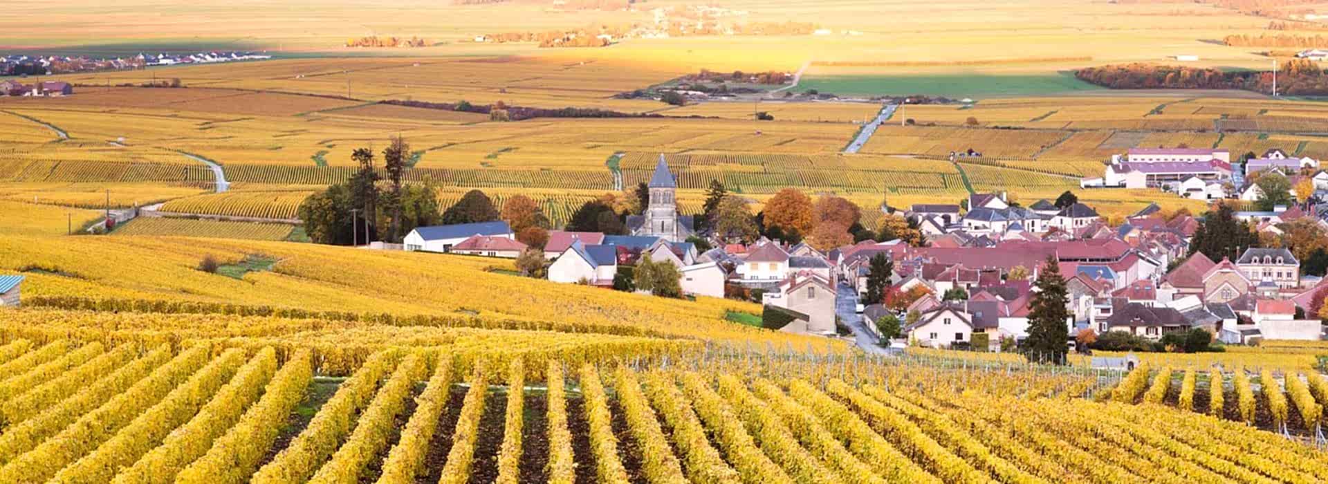 Oger, Champagne Ardenne, France